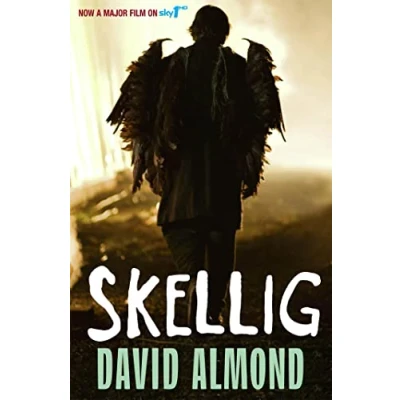 Imagen de Skellig