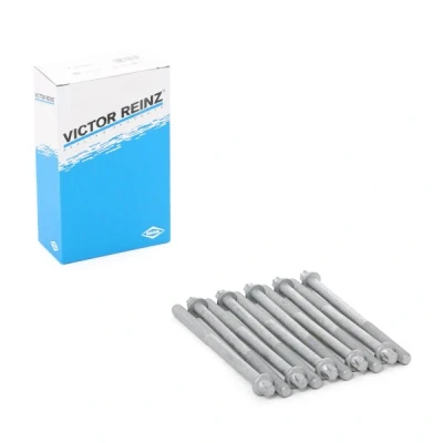 Imagen de REINZ 14 32102 01 Juego de Tornillos Culata Torx exterior OPEL: Kadett E Berlina, Corsa A TR, Astra G DAEWOO: Lanos Berlina