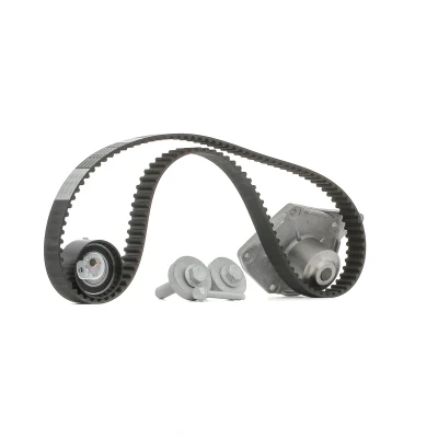 Imagen de BOSCH 1 987 946 982 Bomba de Agua + Kit Distribucion 123 RENAULT: MEGANE 2 Coupe Cabriolet, CLIO 3, 3 Kasten, NISSAN: Note I norauto, oscaro,