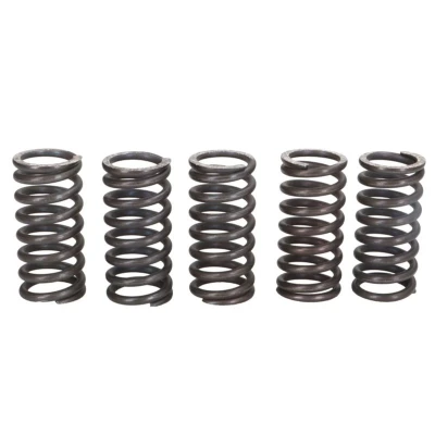 Imagen de Kit muelles de embrague TRW MEF121 5