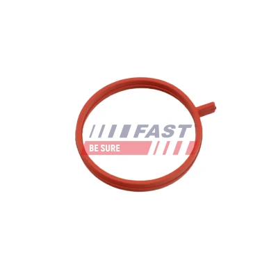 Imagen de FAST FT48963 Junta anular, conducto aire admisión