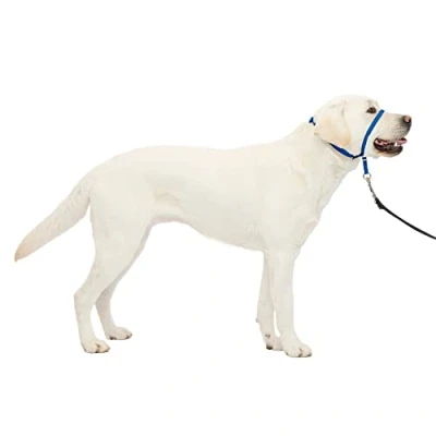 Imagen de PetSafe Collar de Cabeza DVD Entrenamiento (Idioma español no garantizado)