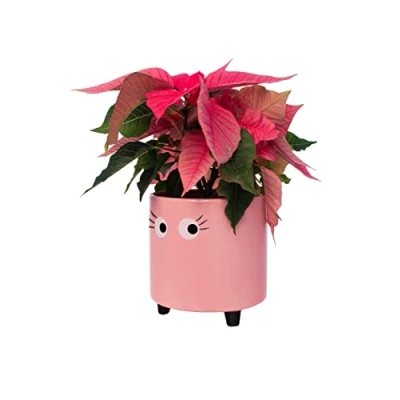 Imagen de Fisura Macetero Original con diseño de Ojos. Decorativo Interior. Patas para Cactus. Maceta cerámica Flores y suculentas.13 x 12,5 cm. (Rosa)