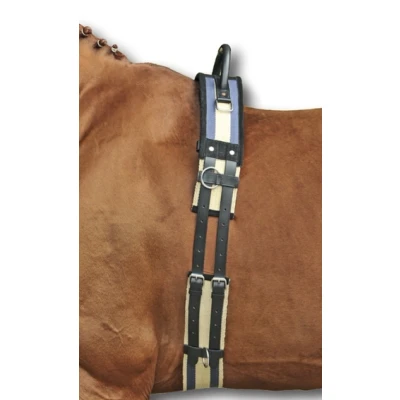 Imagen de HKM vaulting girth