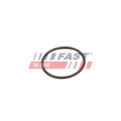Imagen de FAST FT49933 Junta anular, conducto aire admisión FIAT: BRAVO 2, Doblo I Familiar