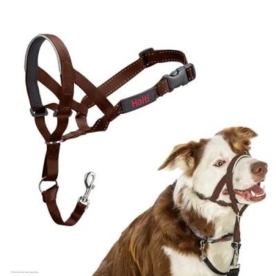 Imagen de Collar Ronzal HALTI para Evitar Que tu Perro Tire de la Correa, Ajustable con Banda Nariz Acolchada. Adiestramiento canino antitirones Perros medianos (Talla 2, Nogal Profundo)