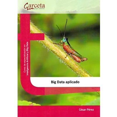 Imagen de Big Data aplicado: aplicado (SIN COLECCION)