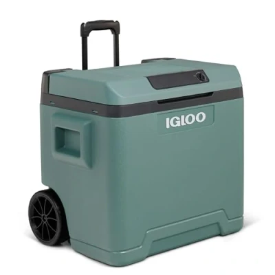 Imagen de IGLOO IE42 Nevera eléctrica para Coche y Enchufe, 42L, 12V 230V