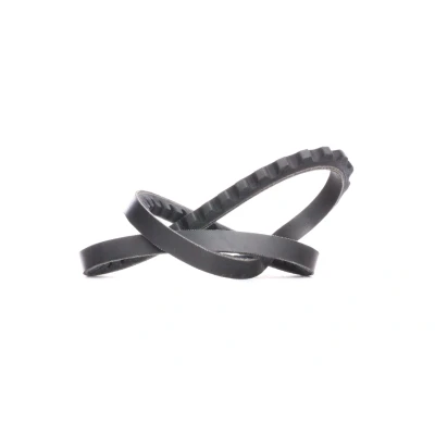Imagen de Correa trapezoidal DAYCO 10A0665C