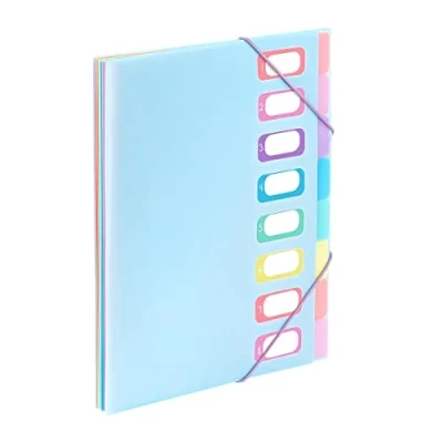 Imagen de Viquel Carpeta A4 con 8 compartimentos Rainbow Pastel