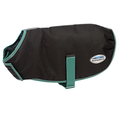Imagen de Weatherbeeta Green Tec 900D Medium Dog Coat