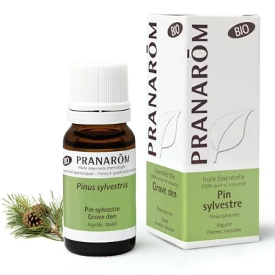 Imagen de PRANAROM Pino Silvestre Bio Aceite Esencial AEQT 10ml