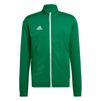 Imagen de adidas Performance Entrada Jacket Chaqueta de entrenamiento, Hombre, Talla: XL, Team green/white