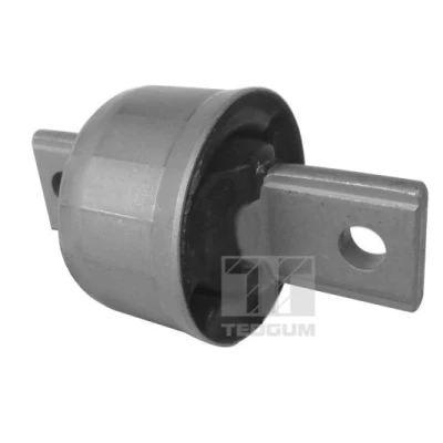 Imagen de brazo oscilante, bujes de TEDGUM 00449020
