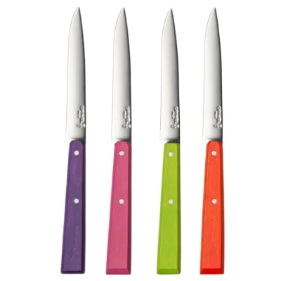 Imagen de OPINEL Messersatz Esprit, versch. Farben Caja de 4 Cuchillos Mesa N125 Estilo Pop Mango en Carpe Coloreado Mandarina/Verde Manzana/Fucsia/púrpura 1532, Acero Inoxidable, Gris, 11 cm