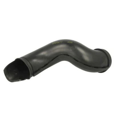 Imagen de Manguera de aire carga THERMOTEC DCG256TT