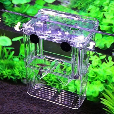 Imagen de SUN Paridera Acuario (Paridera 8x7x11cm)