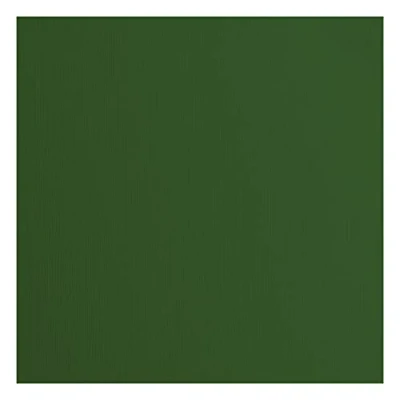 Imagen de Florence Vaessen Creative cartulina texturizado, color verde pino, 216 gramos, 12 x pulgadas, 20 hojas, para álbumes de recortes, tarjetas, troquelado y otras manualidades papel, 30,5x30,5cm