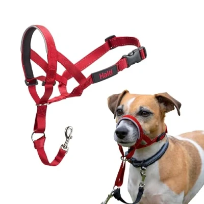 Imagen de Halti Collar Ronzal Evitar Que tu Perro Tire de la Correa, Ajustable y Ligero, con Banda Nariz Acolchada. Adiestramiento canino antitirones para Perros pequeños (Talla 1, Rojo)