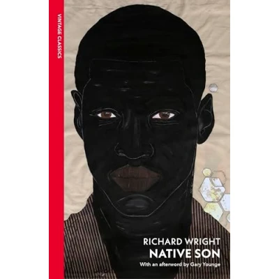 Imagen de Native Son