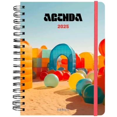 Imagen de Agenda anual semanal 2025 Coco Dávez (TANTANFAN)