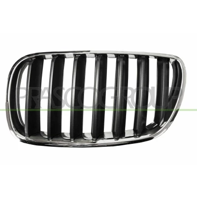 Imagen de BLIC 6502 07 00939950P Parrilla Delante, izquierda gris, cromo BMW: X3