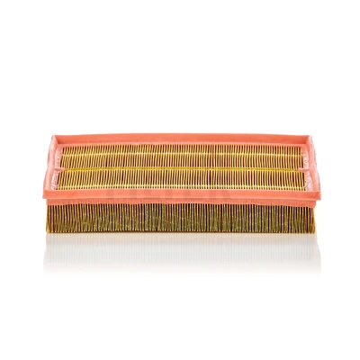 Imagen de MANN FILTER C 33 189 Filtro de aire 50 252 326 Cartucho filtrante OPEL: Vectra Berlina, CC, Caravan, FIAT: Croma II Familiar
