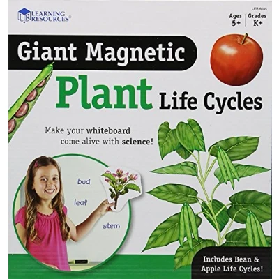 Imagen de Learning Resources Ciclo de vida plantas magnético gigante