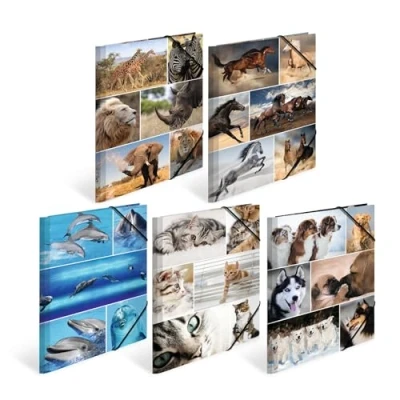 Imagen de HERMA 19346 carpeta de dibujo Animales, Paquete 10, A4, cartón resistente, con impresión interior, 1 palmo
