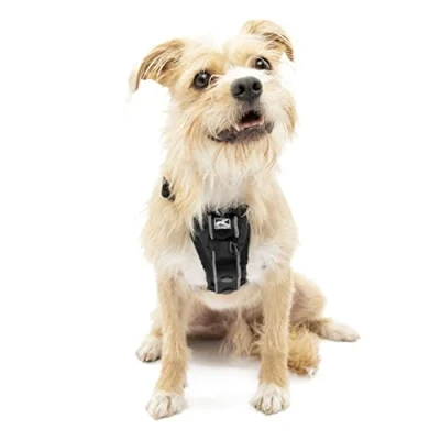 Imagen de Kurgo Tru Fit Arnés Antitirones para Perros, Inteligente Mascotas, Hebillas de Liberación Rápida, Anillo en D Frontal, Incluye Cinturón Negro, XS