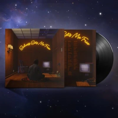 Imagen de Sadness Sets Me Free [Vinilo]