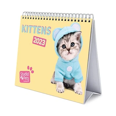 Imagen de Grupo Erik, Calendario Escritorio Deluxe Studio Pets Cats 2023, 2023 sobremesa con certificado FSC, Producto licencia oficial, CS23012, Gatos,