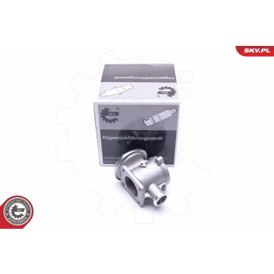Imagen de ESEN SKV 14SKV178 Válvula EGR neumático BMW: 1 Hatchback, 3 Touring, X3