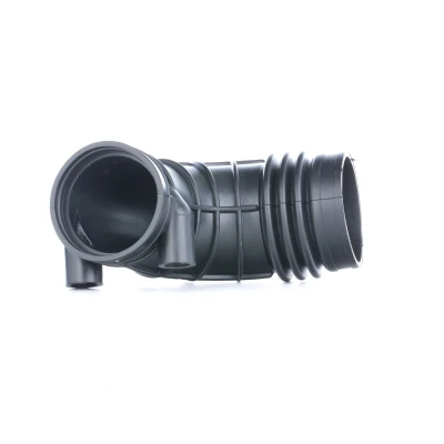 Imagen de FEBI BILSTEIN 30622 Tubo flexible de aspiración, filtro aire BMW: 5 Berlina, Touring