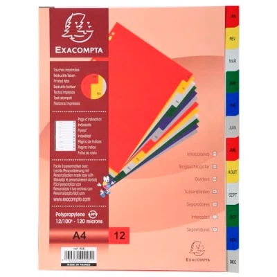 Imagen de Exacompta Ref. 95E Cartón de 20 separadores polipropileno con 12 pestañas impresas mensuales enero a diciembre en color Página indexación imprimible para A4 Dim 22,5 x 29,7 cm