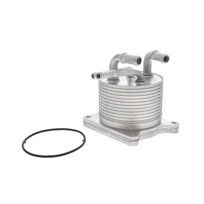 Imagen de Radiador de aceite, transmisión automática VEMO V33 60 0012