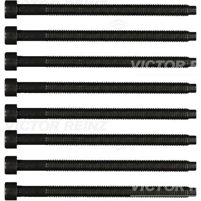 Imagen de REINZ 14 32121 02 Juego de Tornillos Culata dentado interior SEAT: Ibiza 3, Córdoba II Berlina, 4 Sportcoupe, VOLKSWAGEN: Polo IV Hatchback