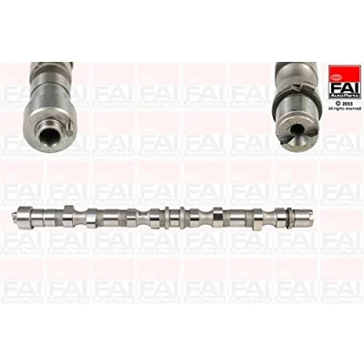 Imagen de FAI AutoParts C281 Árbol de Levas HYUNDAI: SANTA FE 2, i30 I Hatchback, KIA: Sportage II