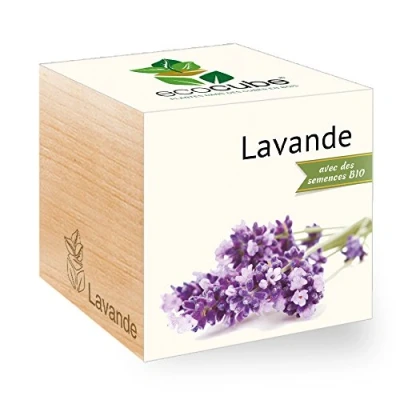 Imagen de Ecocube Lavanda, certificado orgánico, kit de cultivo propio, regalo sostenible e inusual (100% ecológico), planta en un cubo madera, fabricado Austria