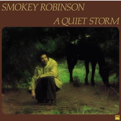 Imagen de A Quiet Storm (Limited Edition) [Vinilo]