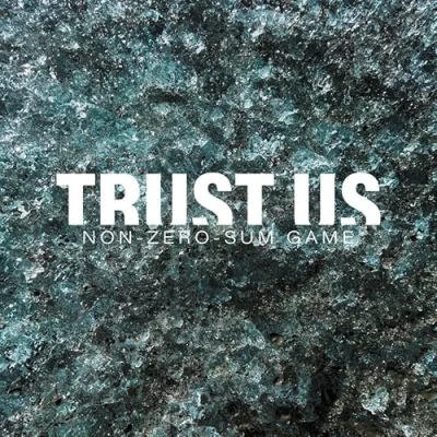 Imagen de Non zero sum game Vinilo Trust Us