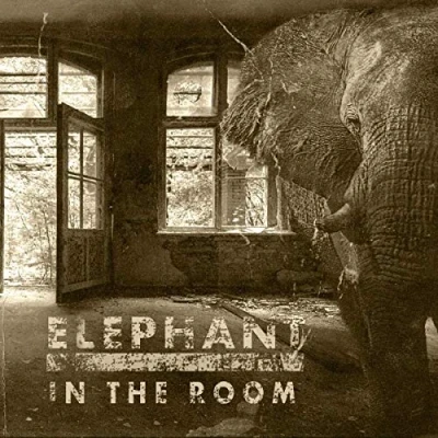 Imagen de Elephant In The Room Vinilo