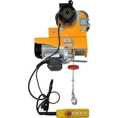 Imagen de Dragon Winch Polipasto eléctrico 300/600 kg + Carretilla Eléctrica con altura de elevación 12m/6m cuerda acero, freno automático y control remoto para uso en taller, almacén, obra garaje