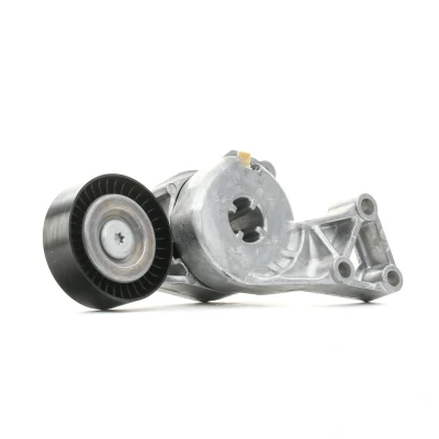 Imagen de INA 533 0076 30 Brazo tensor, correa trapecial poli V VOLKSWAGEN: Golf 4, Jetta 3, SEAT: Ibiza 2, AUDI: A3 Hatchback norauto, oscaro, mister auto