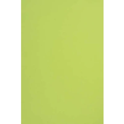 Imagen de Netuno 50x papel colorado Color verde claro DIN A4 210x297mm 115g Sirio Lime ideal para impresora embalajes regalos tarjetas invitaciones scrapbooking manualidades folletos boda bautizo Navidad