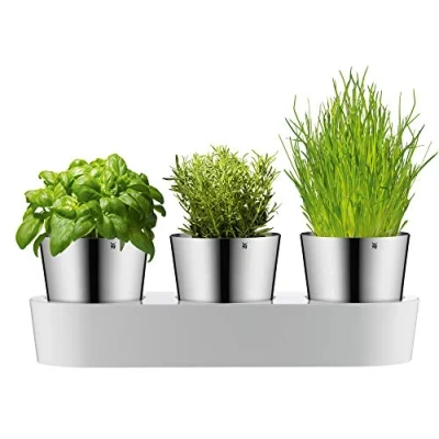 Imagen de WMF Gourmet Macetero de Hierbas con Sistema Riego Automático 3 Macetas Acero Inoxidable Cromargan, 36 x 12,5 cm, Blanco, Ideal para Cocina