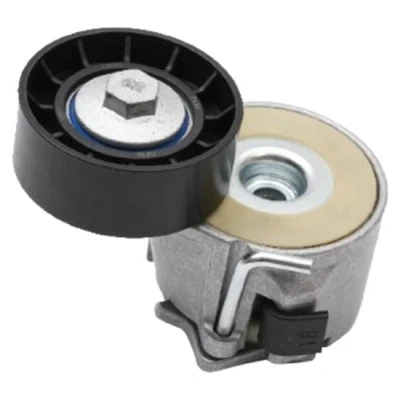 Imagen de JAPANPARTS TS 802 Brazo tensor, correa trapecial poli V 66mm FIAT: Punto II Hatchback, Doblo I Cargo, Familiar