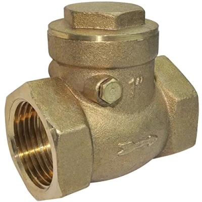 Imagen de AERZETIX C53438 válvula antirretorno de batiente 1&#039;&#039; pulgadas rosca hembra retención en latón