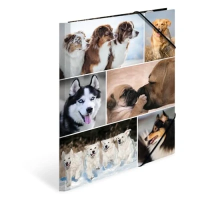 Imagen de HERMA 19211 carpetas A4 Animales Perros, 3 unidades, carpeta de esquina infantil cartón con impresión interior y banda elástica, juego resistente para niños niñas