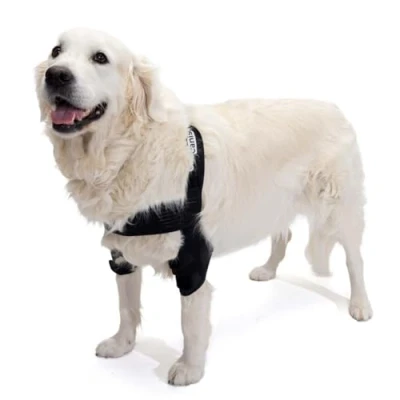 Imagen de Ortocanis Ortesis de Codo para Perros con Artritis Codo, Higromas o Dislocación Hombro, Talla M